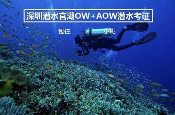 智能问答网页